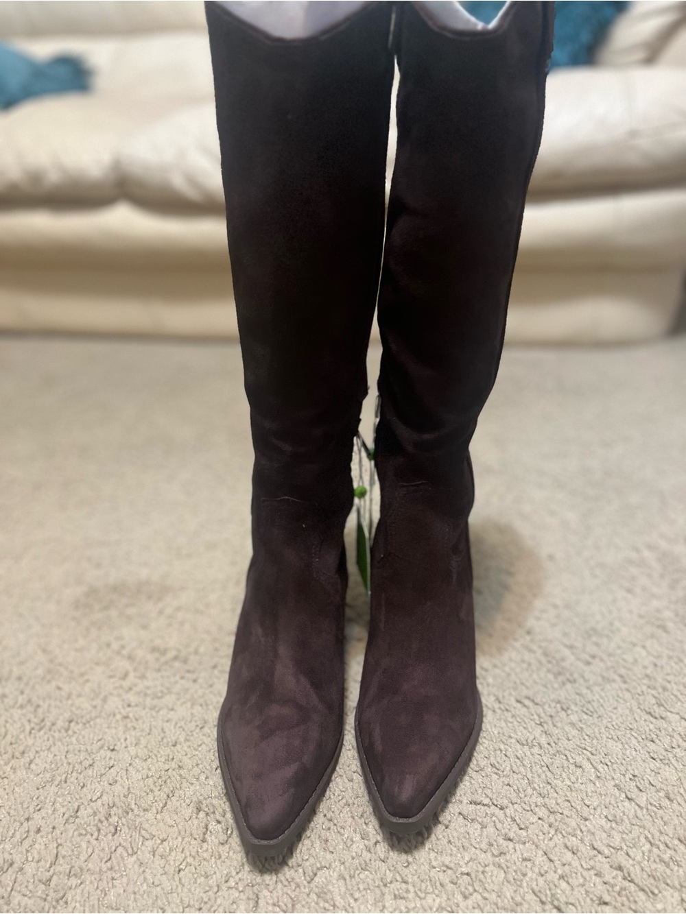 Sam Edelman Over-the-Knee Suede Boots in Dark Brown